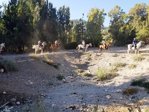 חוות סוסים נוף הרים בגליל